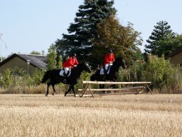 551854_10151090368298585_2013154013_n